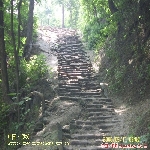 �϶ٹų�ǽ��ַ