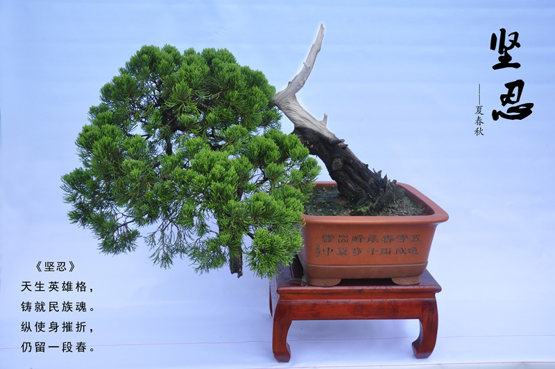 �Ĵ����辰ʫ��СƷ